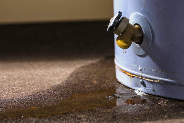 Water damage restoration process in IL