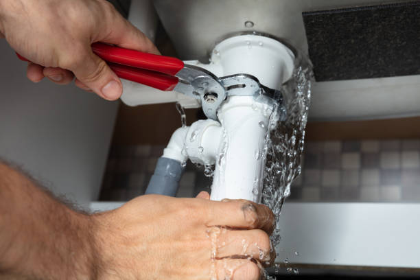 Best Water damage restoration near me  in Fox Lake, IL