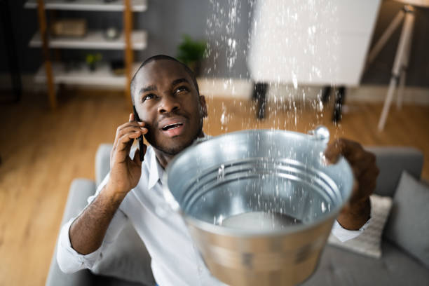 Best 24-hour water damage restoration  in Fox Lake, IL