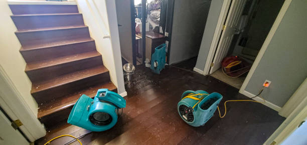  Fox Lake, IL Water damage restoration Pros