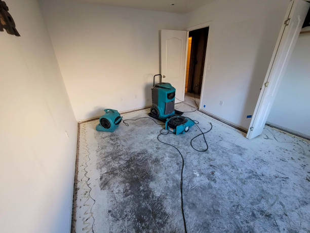 Best Emergency water damage restoration  in Fox Lake, IL
