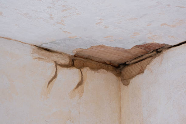 Best Water damage restoration services  in Fox Lake, IL