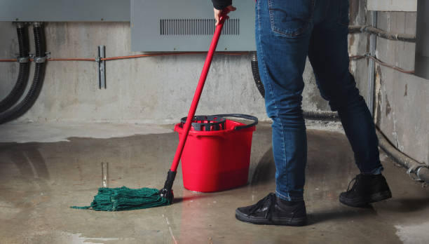 Best Carpet water damage restoration  in Fox Lake, IL
