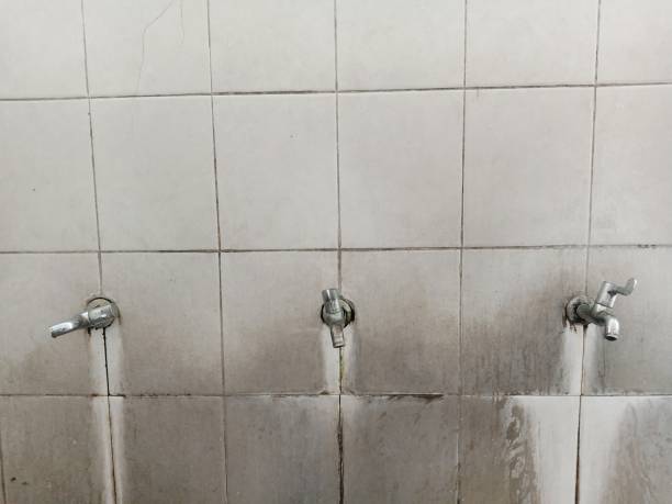 Best Commercial water damage restoration  in Fox Lake, IL