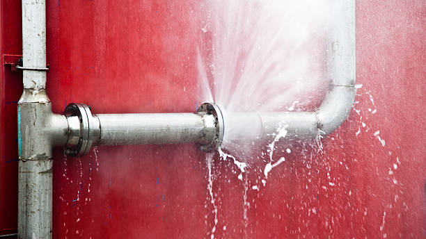 Best Basement water damage restoration  in Fox Lake, IL