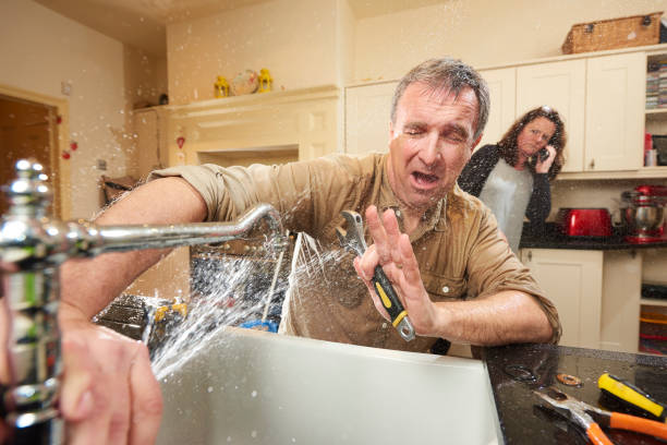 Best Fire Damage Restoration  in Fox Lake, IL
